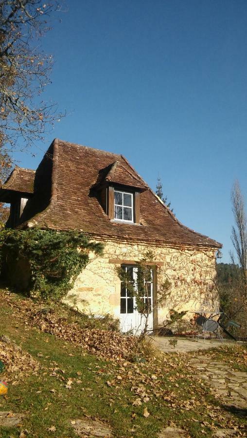 Petite Maison En Perigord Noir Plazac Exterior foto